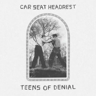 CAR SEAT HEADREST Teens Of Denial 2LP