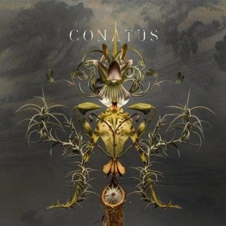 JOEP BEVING Conatus 2LP