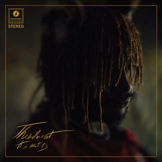 THUNDERCAT It Is What It Is CD