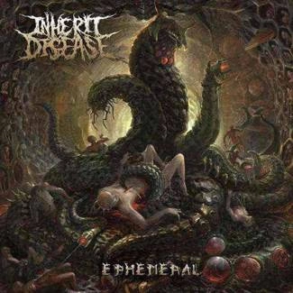 INHERIT DISEASE Ephemeral CD