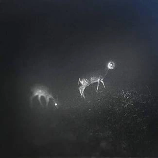 BLISS SIGNAL Bliss Signal CD DIGIPAK