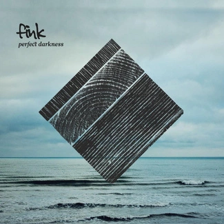 FINK Perfect Darkness CD