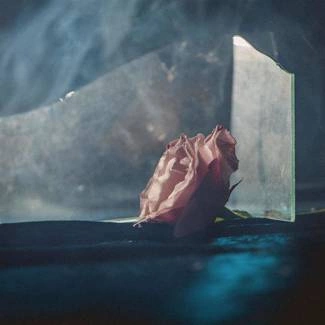 LEE RANALDO In Virus Times LP