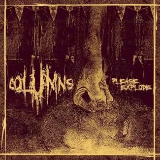 COLUMNS Please Explode CD