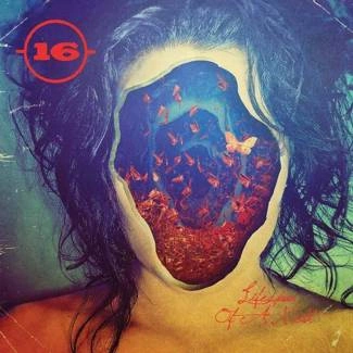 16 Lifespan Of A Moth CD