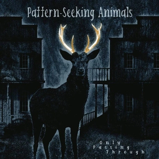 PATTERN-SEEKING ANIMALS Only Passing Through 3LP