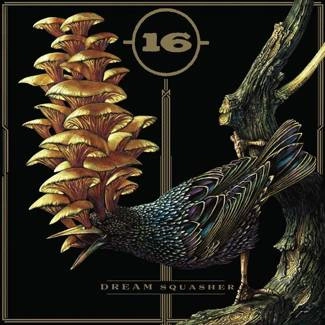 16 Dream Squasher CD