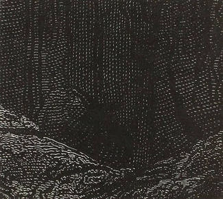 NULL Entity CD DIGIPAK