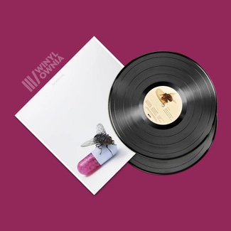 Red Hot Chili Peppers I'm With You 2LP