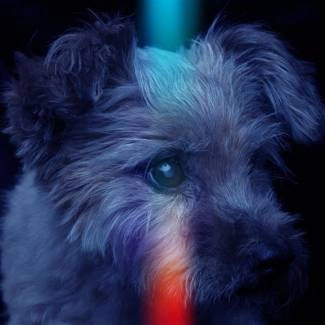 MIKROMUSIC Kraksa CD DIGIPAK