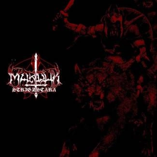 MARDUK Strigzcara Warwolf Live 1993 CD