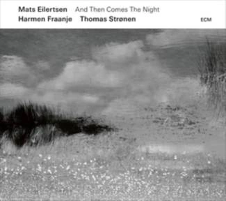 EILERTSEIN, MATS And Than Comes The Night CD