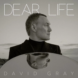 GRAY, DAVID Dear Life CD