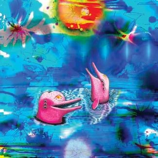 ANTELOPER Pink Dolphins CD