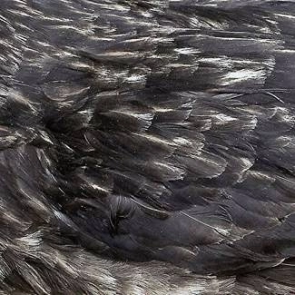 ARSTIDIR Arstidir CD DIGIPAK