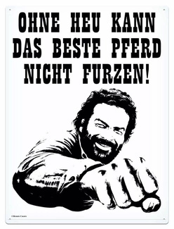 Bud Spencer Tin Sign Pferd Faust 30 x 40 cm