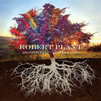 PLANT, ROBERT Digging Deep: Subterranea 2CD