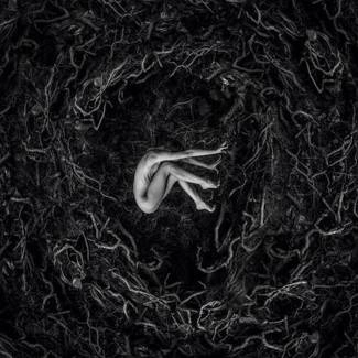 FVNERALS Let The Earth Be Silent CD DIGIPAK