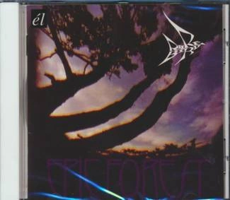 RARE BIRD Epic Forest CD