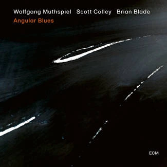 MUTHSPIEL WOLFGANG Angular Blues CD