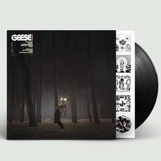 GEESE Projector LP
