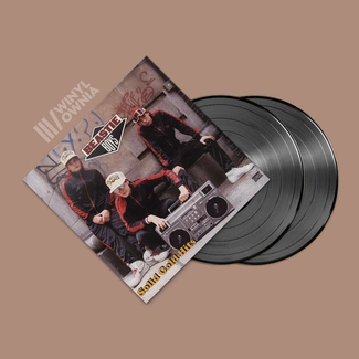 BEASTIE BOYS Solid Gold Hits 2LP