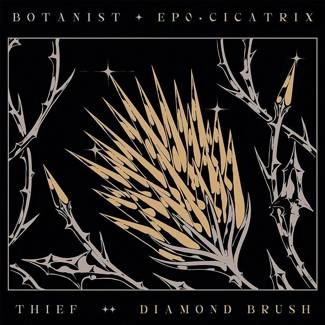 BOTANIST THIEF Cicatrix Diamond Brush CD DIGIPAK