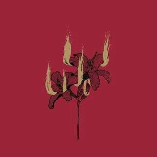 HYRGAL Fin de Regne CD DIGIPAK