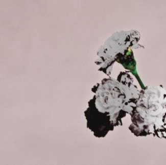 LEGEND, JOHN Love In The Future (special Edition) CD