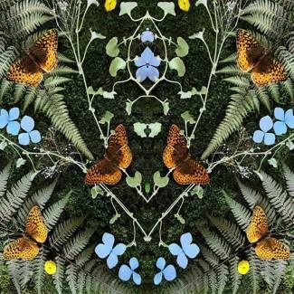 BLAIS, JEAN-MICHAEL Aubades (lp) LP