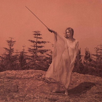 UNKNOWN MORTAL ORCHESTRA II 10th Anniversary Edition ALUMINIUM 2LP