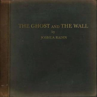 JOSHUA  RADIN, The Ghost And The Wall LP