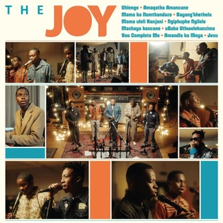 JOY, THE The Joy LP