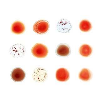 PETER GABRIEL Scratch My Back/and I'll Scratch Yours 2LP