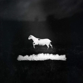 LES DISCRETS Prédateurs CD DIGIBOOK