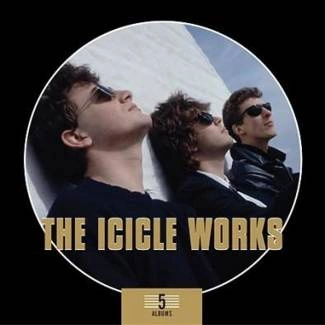 ICICLE WORKS, THE 5 Albums Box Set CD