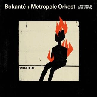 BOKANTE & METROPOLE ORKEST & JULES BUCKLEY What Heat CD DIGIPAK