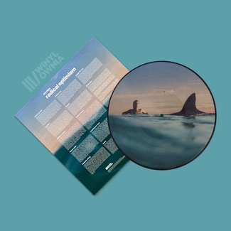 DUA LIPA Radical Optimism LP PICTURE DISC