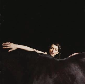 MY BRIGHTEST DIAMOND Bring Me The Workhorse CD