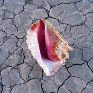 KILLERS Wonderful Wonderful (deluxe) CD