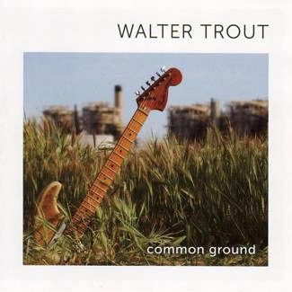 TROUT, WALTER Common Ground CD