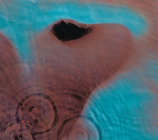 PINK FLOYD Meddle CD