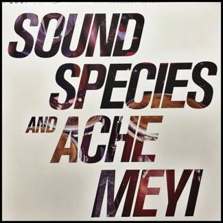 SOUNDSPECIES & ACHE MEYI Soundspecies & Ache Meyi CD