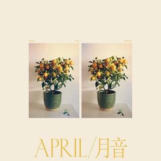 EMMY THE GREAT April LP