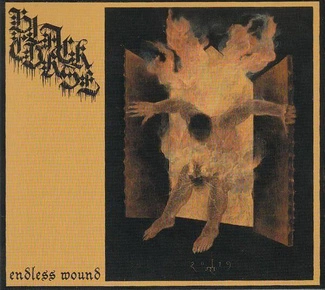 BLACK CURSE Endless Wound CD DIGIPAK