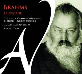 BRAHMS Le Tzigane Choeur De Chambre Melismes Diard BanKal Trio CD DIGIPAK