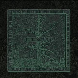 NEGURA BUNGET Maiastru Sfetnic CD