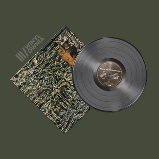 SIOUXSIE & THE BANSHEES Ju Ju LP