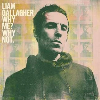 GALLAGHER, LIAM Why Me? Why Not. CD