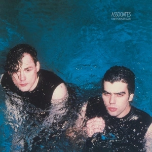ASSOCIATES Fourth Drawer Down LP MOV